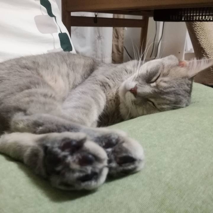 Da1ee519 c6f2 4bef a4d6 443d44a400aa