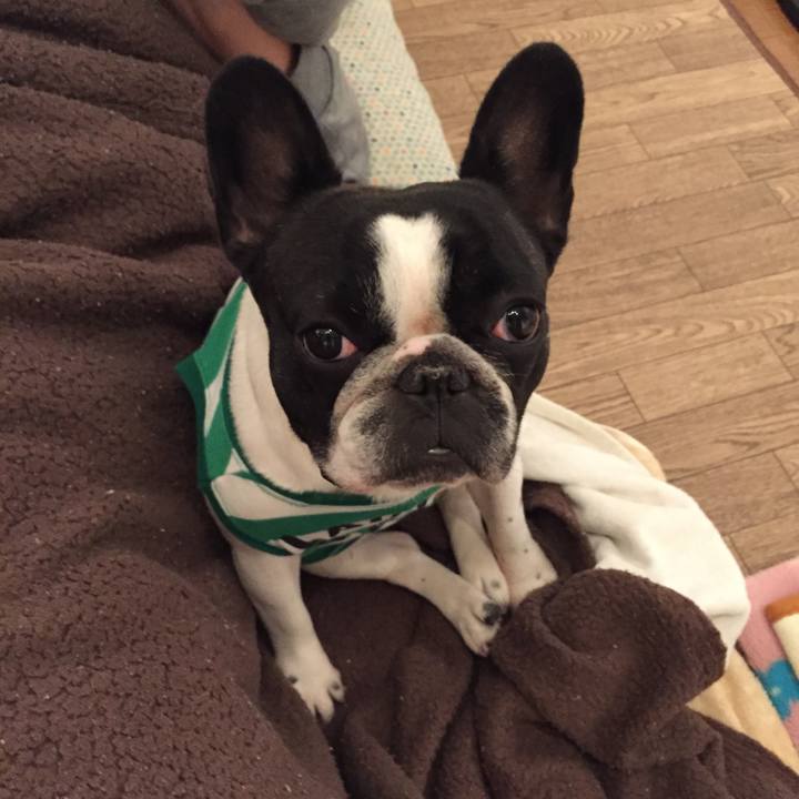 Da1ef4b2 a488 411d b6fd dbd721dad7c3