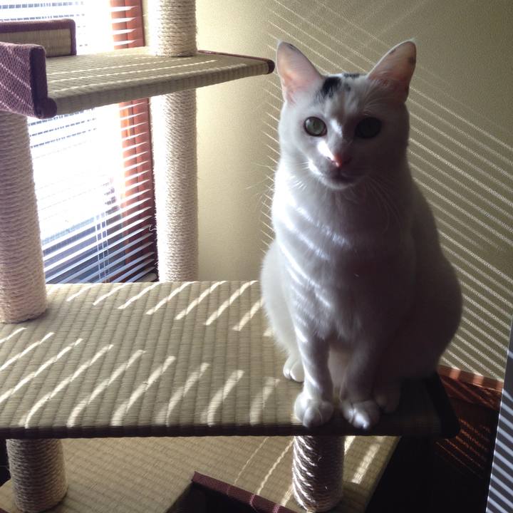 Da213261 6ef8 47cd 84be a6bb53b84e2f