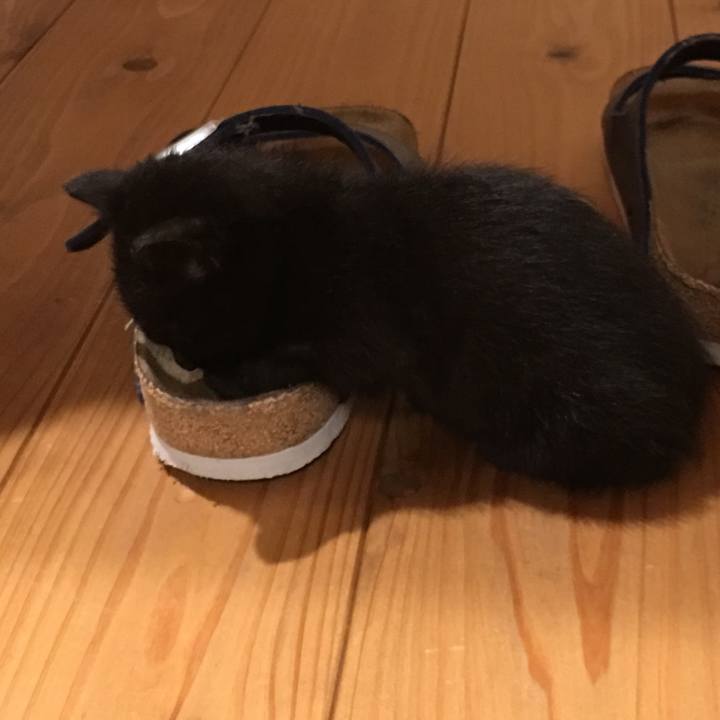 Da21cfc2 4cd2 40a8 880f 6439464e8e61