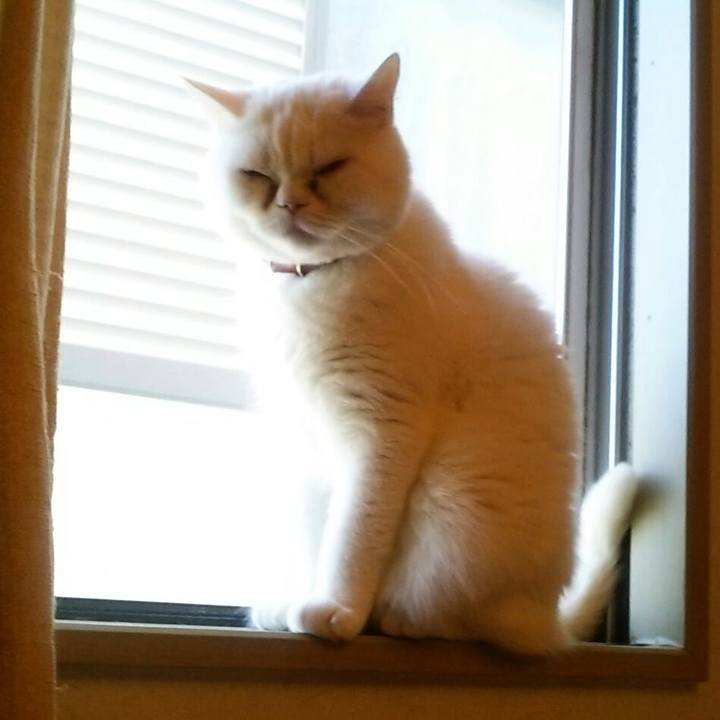 Da2213b6 9667 48ec 8980 6e7951a8615f