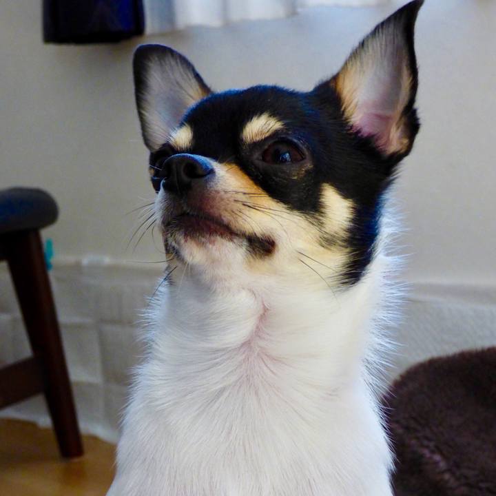 Da225486 2092 40c7 a482 d7f4b5b33961