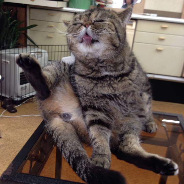 Da237879 b39b 4848 8a1a 10f4b2149d9d