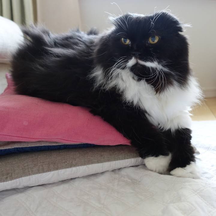 Da23d30e 7d7b 4546 a7b9 fb0559a7d185