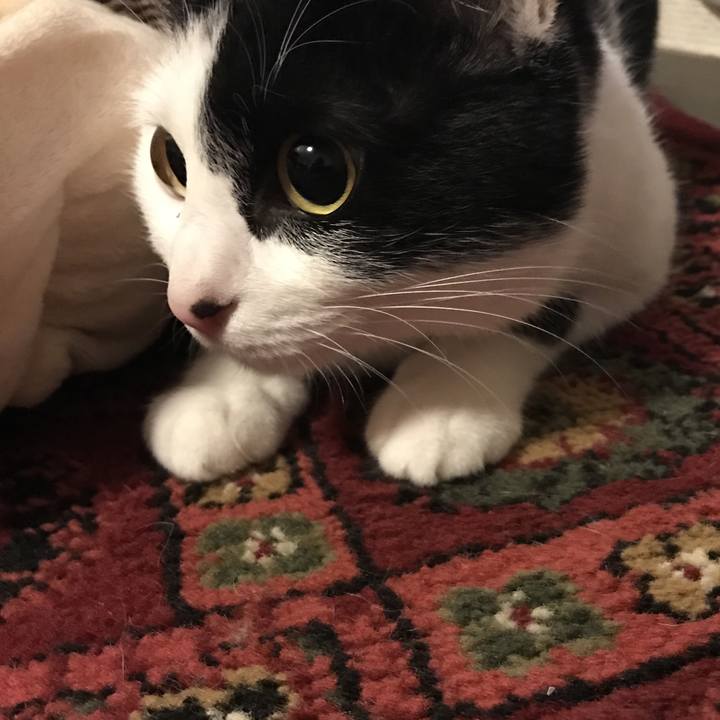 Da240ed8 f322 4679 9991 3a3380bb2e78