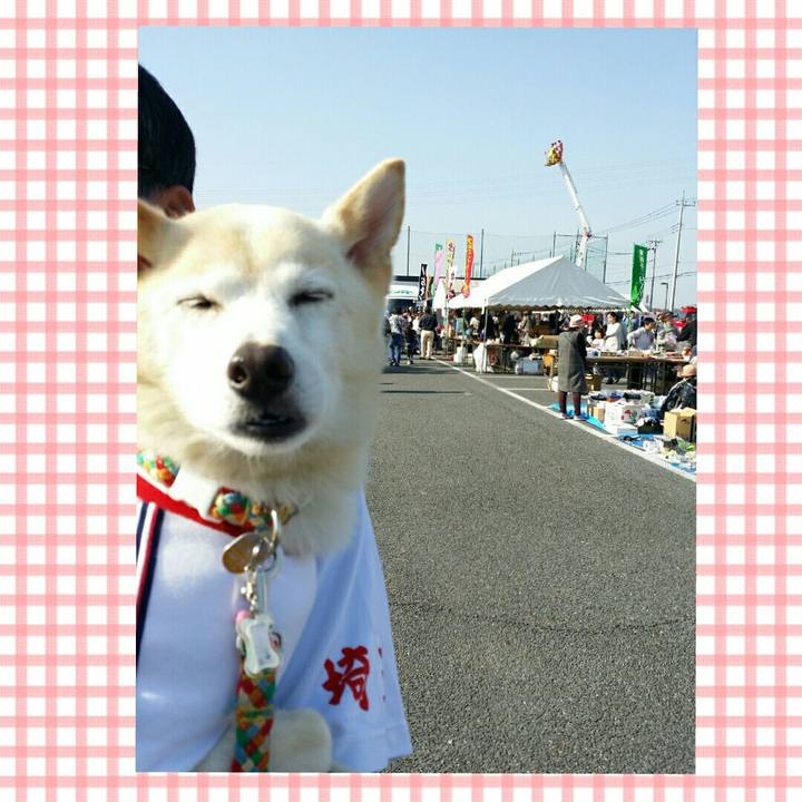 Da242222 a89f 45de ab88 71026f87163e