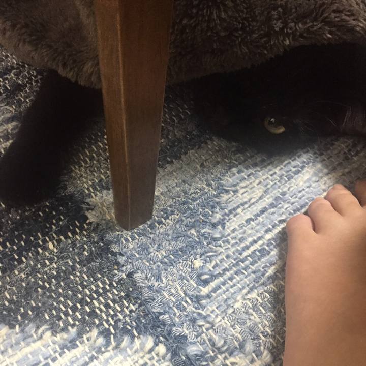 Da24d8b2 1d8a 4d38 99f0 5ab8d449a89a