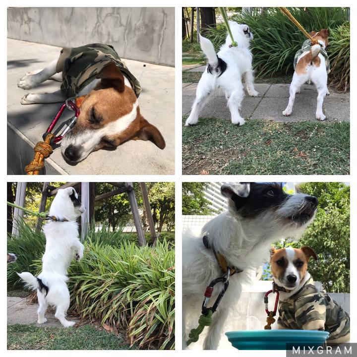 Da25320f 57ca 4a18 bfc0 7c06e6e97d66