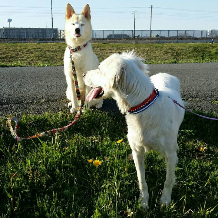 Da25a52f a615 4159 a374 77a1474e940c