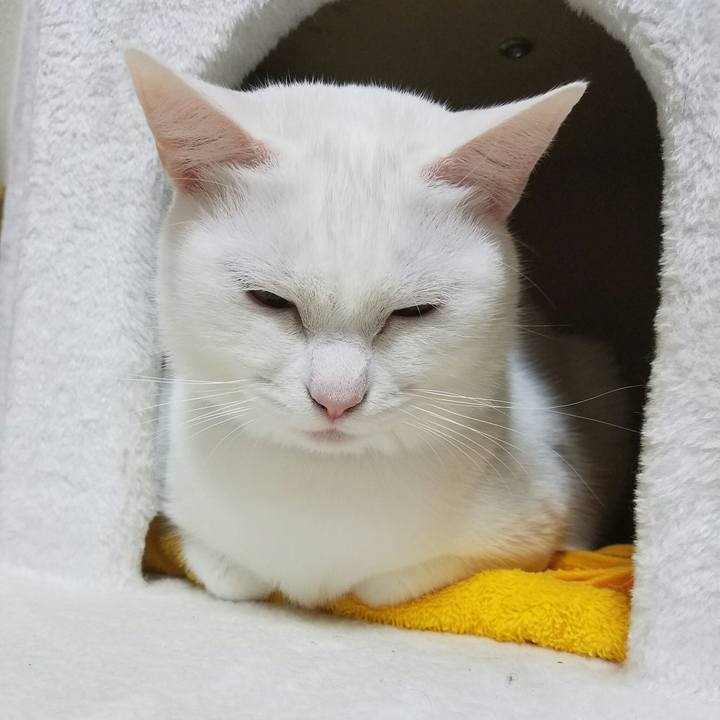 Da28b847 917b 4ac3 b7bb 580005c44a30