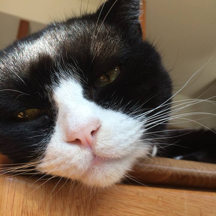 Da2a0e1f 036a 4172 83f3 76aeaa753240