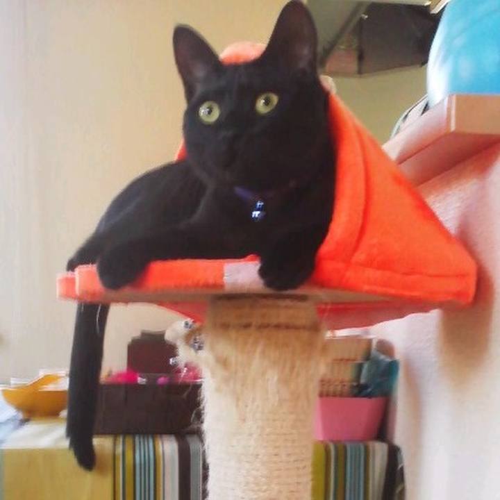 Da2bf88c 1ca3 4fbe add0 6b23c3e6b5de