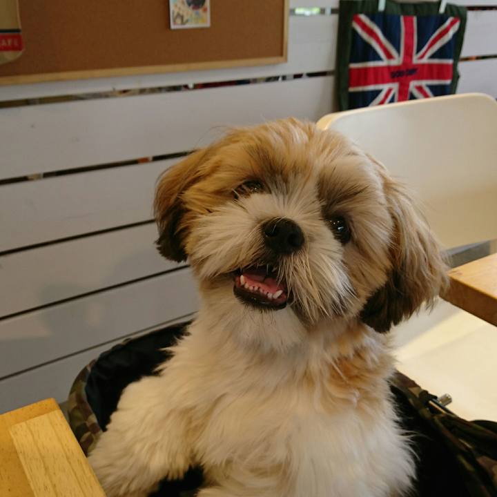 Da2c0576 19e3 4100 ab8c f087d328047e