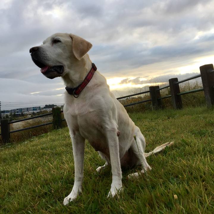 Da2c35e0 4ad6 41ca b2d7 519073467744