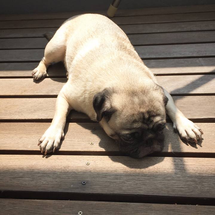 Da2ca625 b320 4d07 b662 aedb93e5ee26