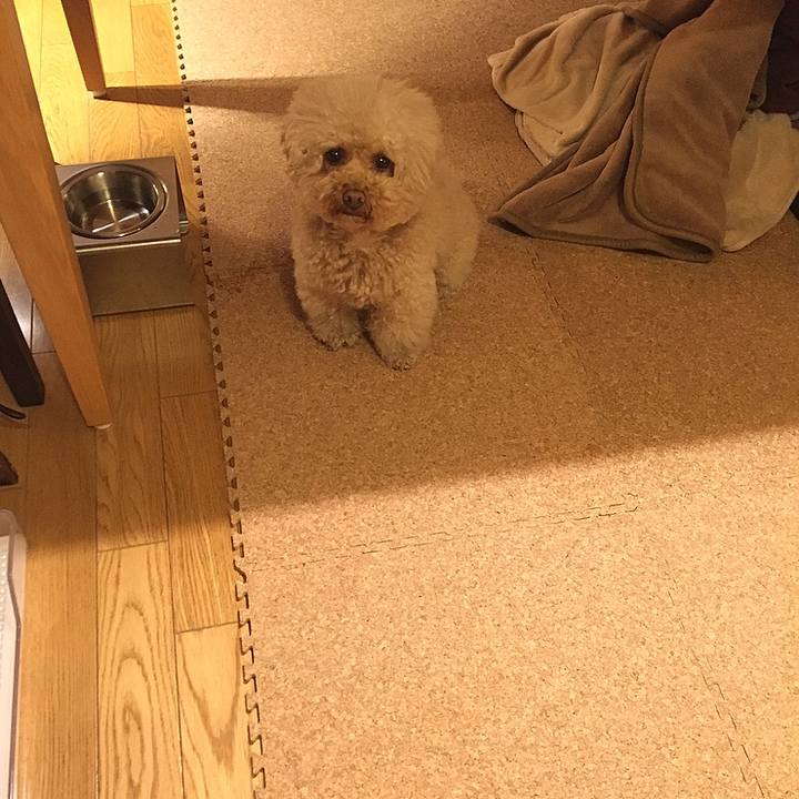 Da2d8e7e a7d1 445b 990a aab218d77f98