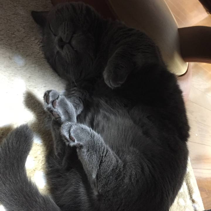 Da2da379 bd72 4ff9 b553 984b073bc097