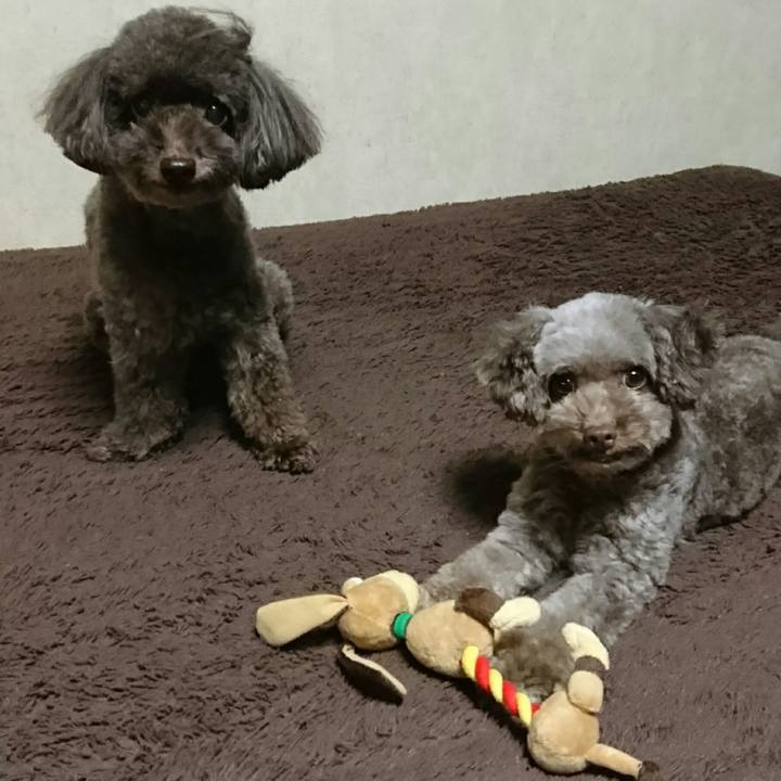 Da315949 d3db 45a7 b0ea abfcd88d93b3