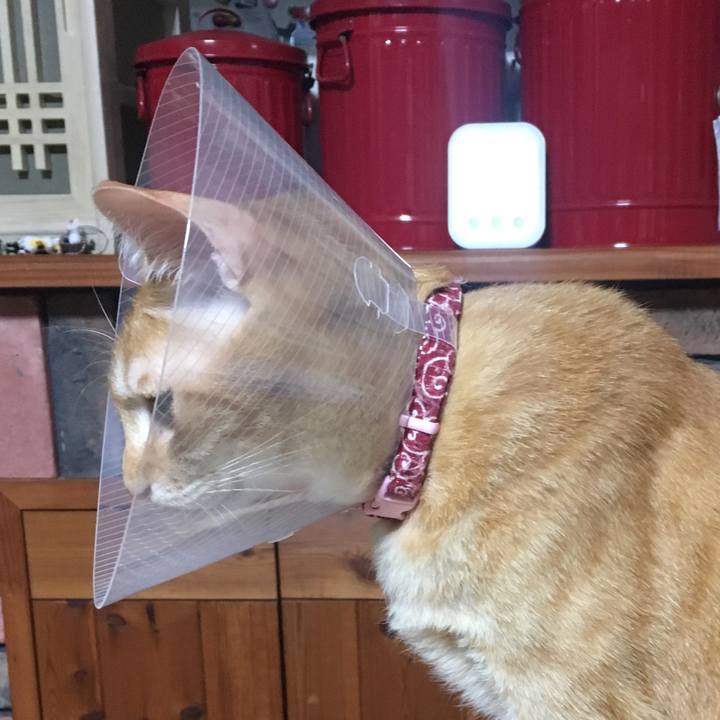 Da3199aa 8242 41f9 8ed2 7de3d9b7458c