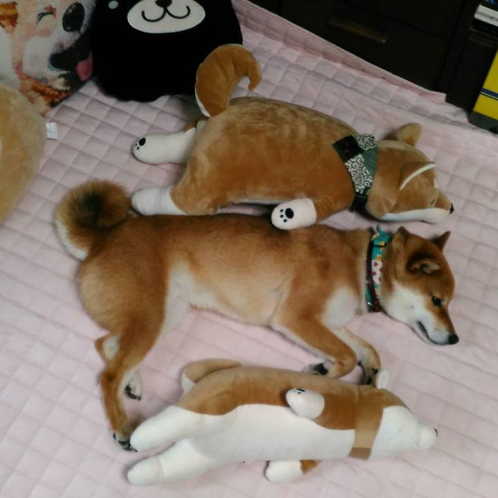 Da31f830 4bf1 4bcf 912c a9fbfe4b2245