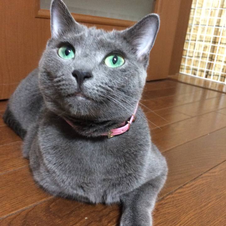 Da32275d e66b 4ac0 9dce 44e454ce9a92