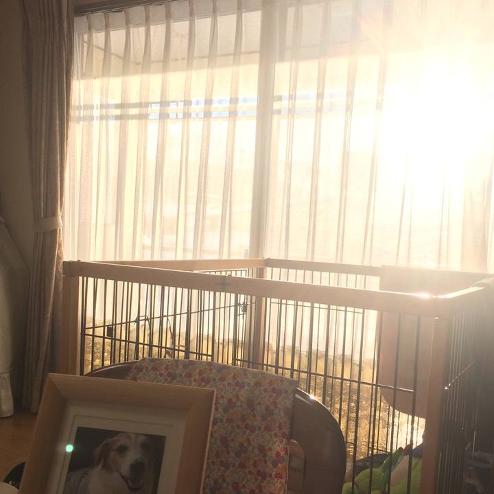 Da32ae4c bb0c 4273 ae0e 78021ab48aed