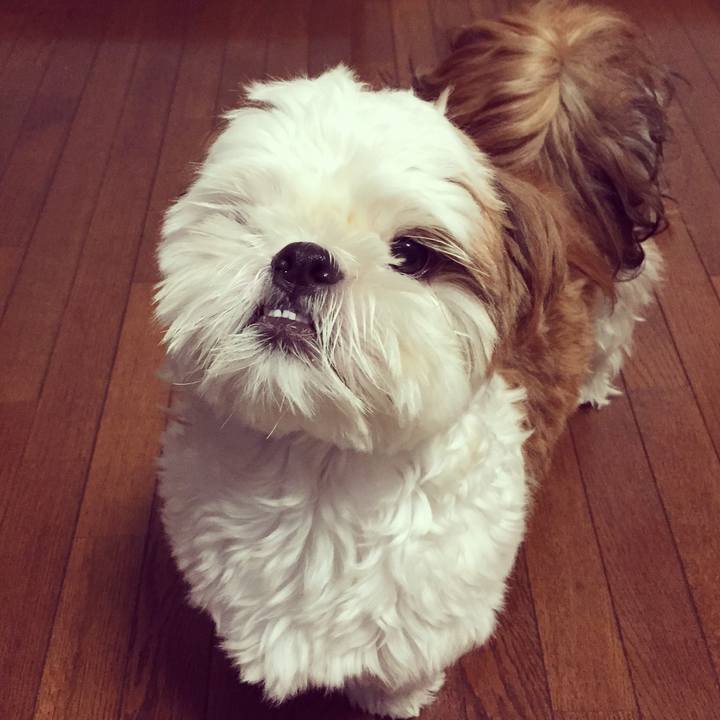 Da3365ff d19d 413a add6 29dae8637aae