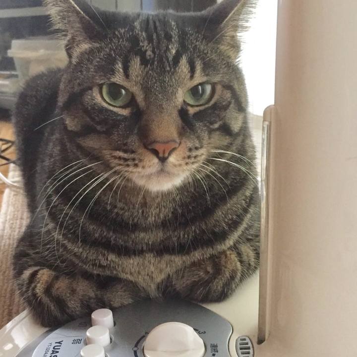 Da3425ab 7cdd 4154 87a7 33dc35886302