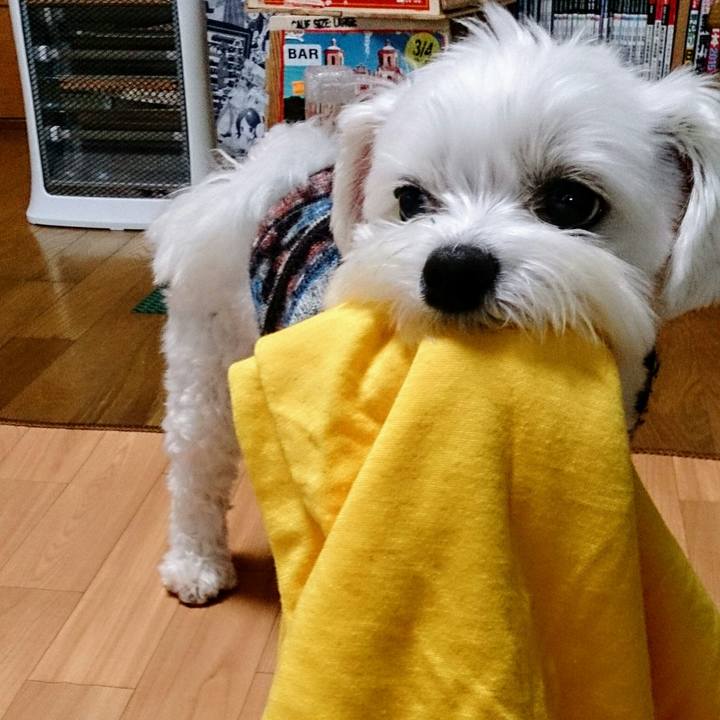 Da34667e 87e0 497e b6e5 fc9fc8449a8e