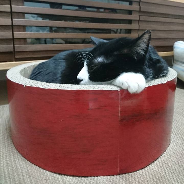 Da3487e7 22f4 4102 9d60 dcb85cd2855b