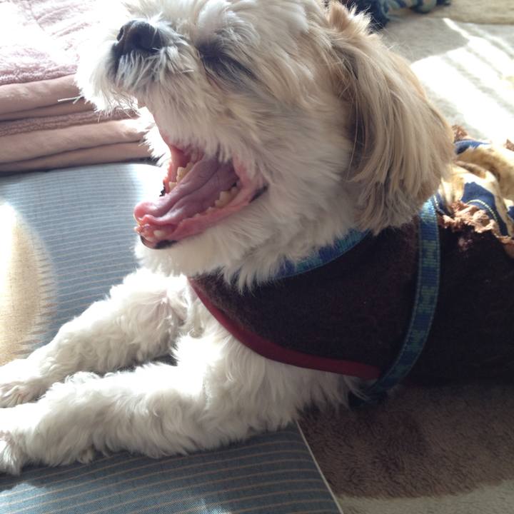 Da34902c 6d99 4c34 b593 afa16b290efd