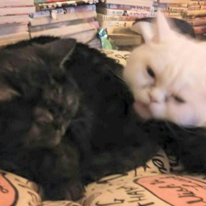 Da3547cf d882 4de5 a0c9 ec3e3847cd8b