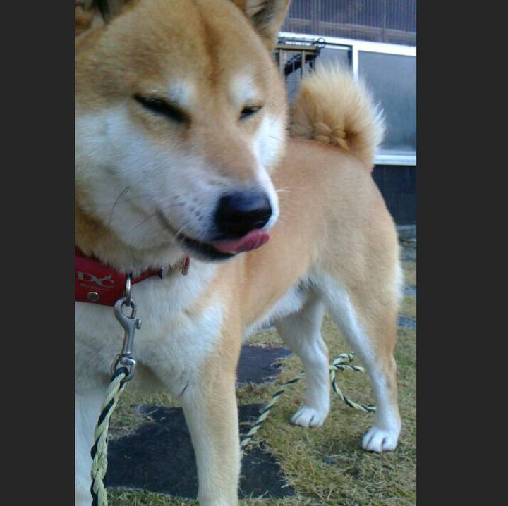 Da3584ac d8ac 4649 b1fd 6e484dea71f9