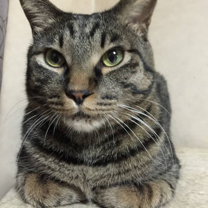 Da360736 3e45 46ca a4d9 f346b2540839