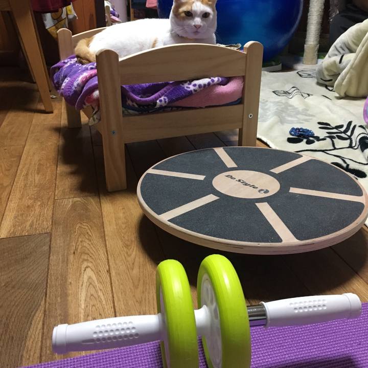 Da366b7b 0198 46af a531 1084aedf368e