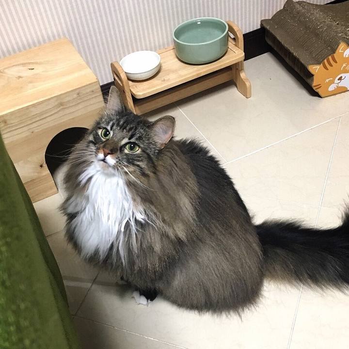 Da36ea62 90b5 46ec 9dae 444848ad3185