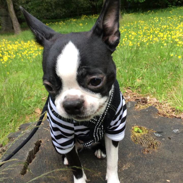 Da36f059 7771 4843 b3d3 9acaf257c560