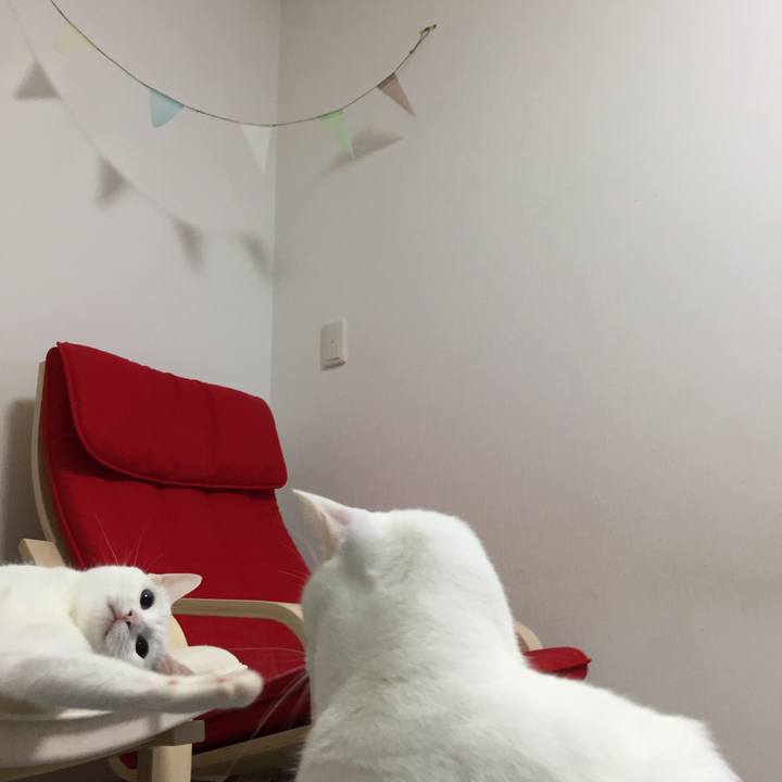 Da37052d bf21 4553 b9c4 e256b1253378