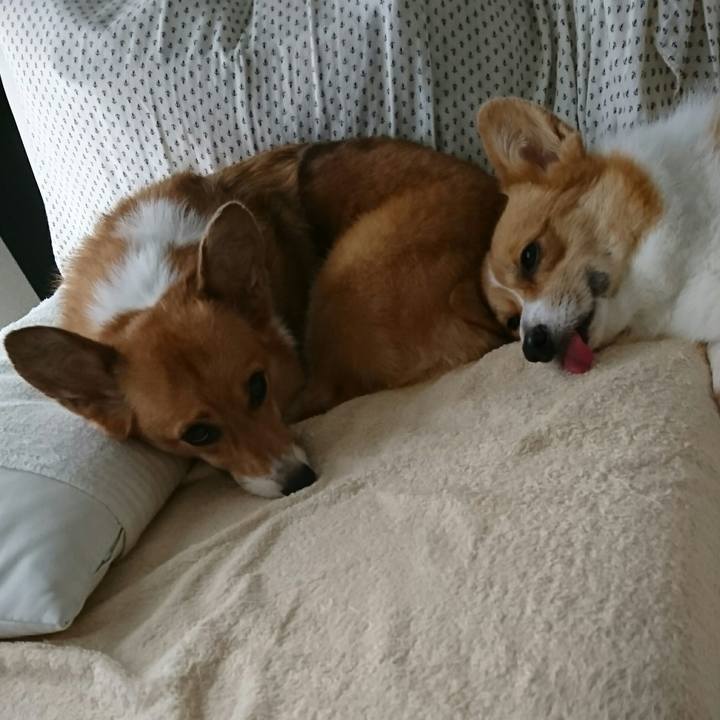 Da373427 e566 4850 a424 c0c418195458