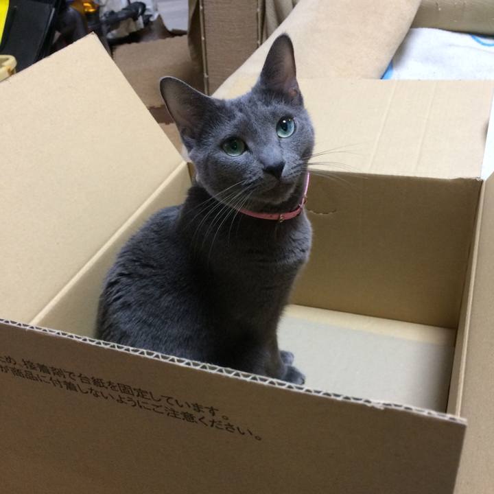 Da37bf0b 3d94 4b85 a491 5936ca797d6e