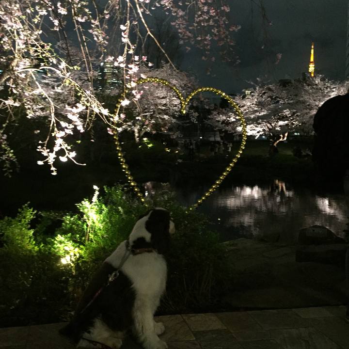 Da37df4f 8b30 4cb9 be3c e88572b62f28