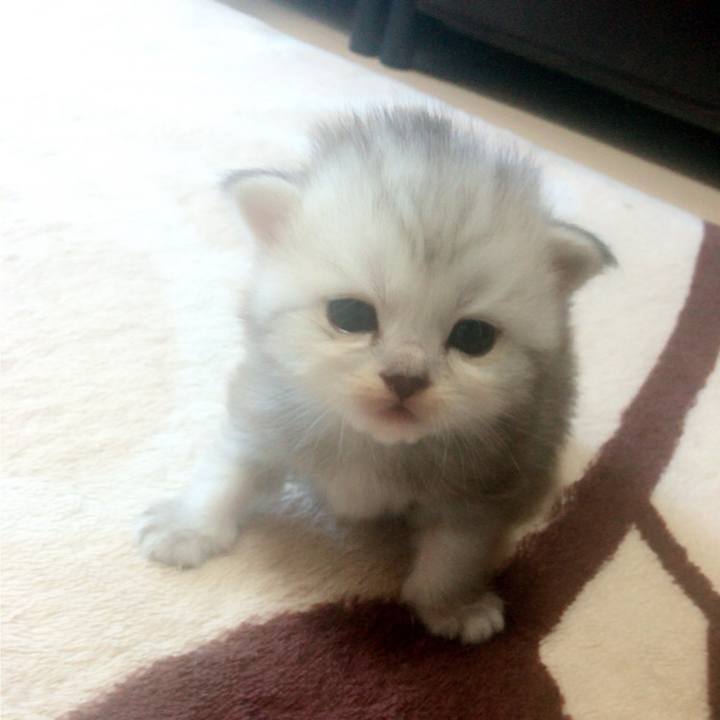 Da38a987 2100 4fe1 a73e 1578fa0983ec