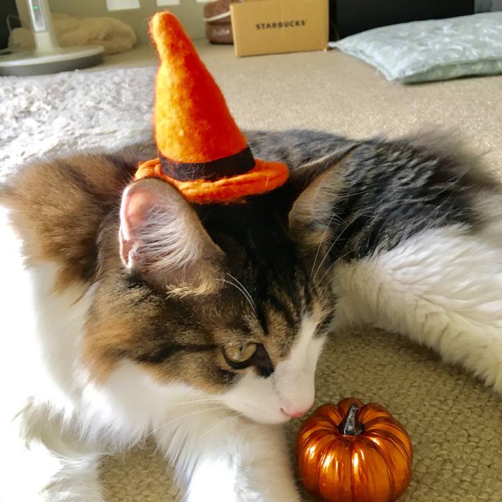 Da38c372 6669 4389 9afe 2b29b6c77ac1