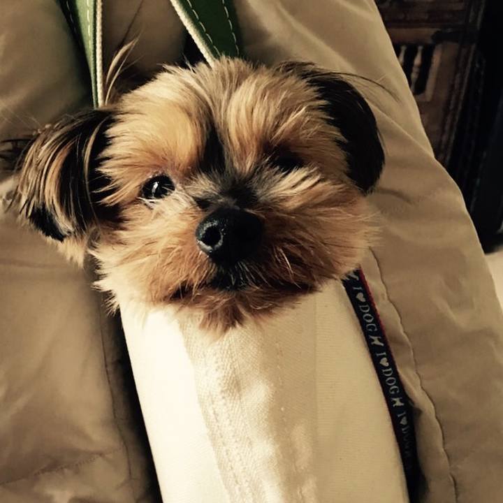 Da3992dd 0e6d 44eb 9ff2 c346c8a8dea0