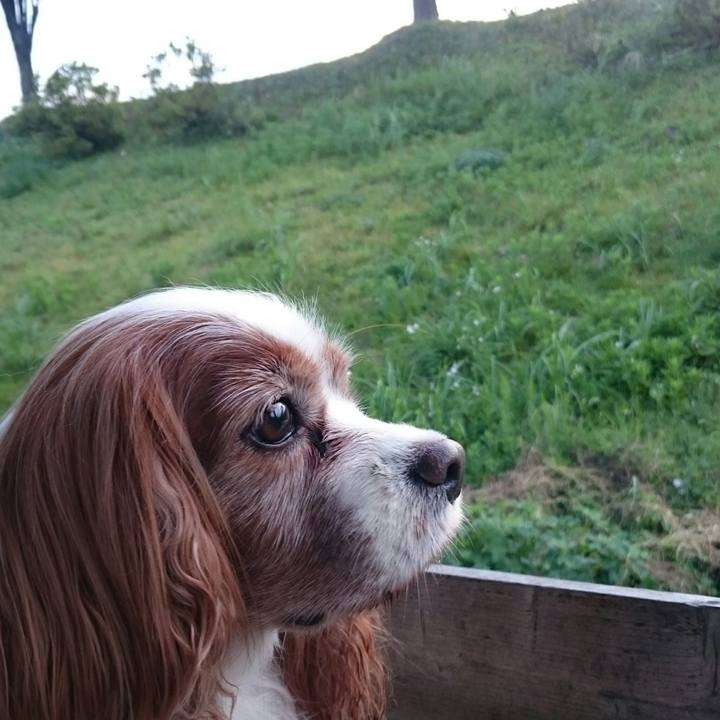 Da3a5514 3c7d 496d b471 f17b737990ee