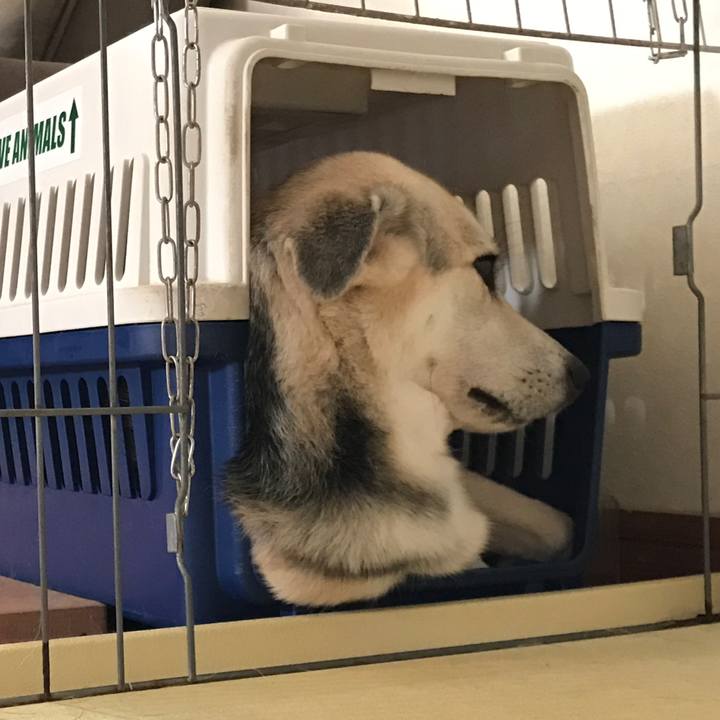 Da3a9f67 40d9 4178 9e8e fa3fbe29e13f