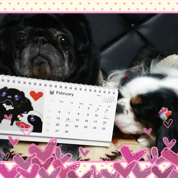 Da3bf6a1 abe7 47a0 bd75 ed1e867a7961