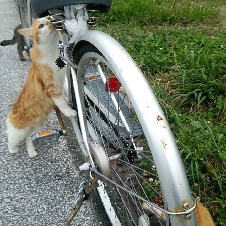 Da3cb573 7ba4 4e1a 83af 25c37ff773a0