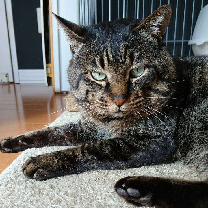 Da3ce93d 5fea 4bef a61f 7843bb15f7af