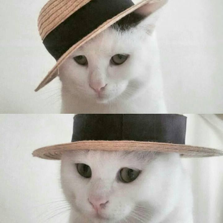 Da3d235c 7e7c 4659 b034 861f18a41fad